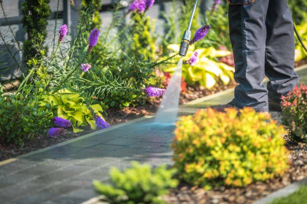 Best Patio and Deck Pressure Washing  in Bellmawr, NJ
